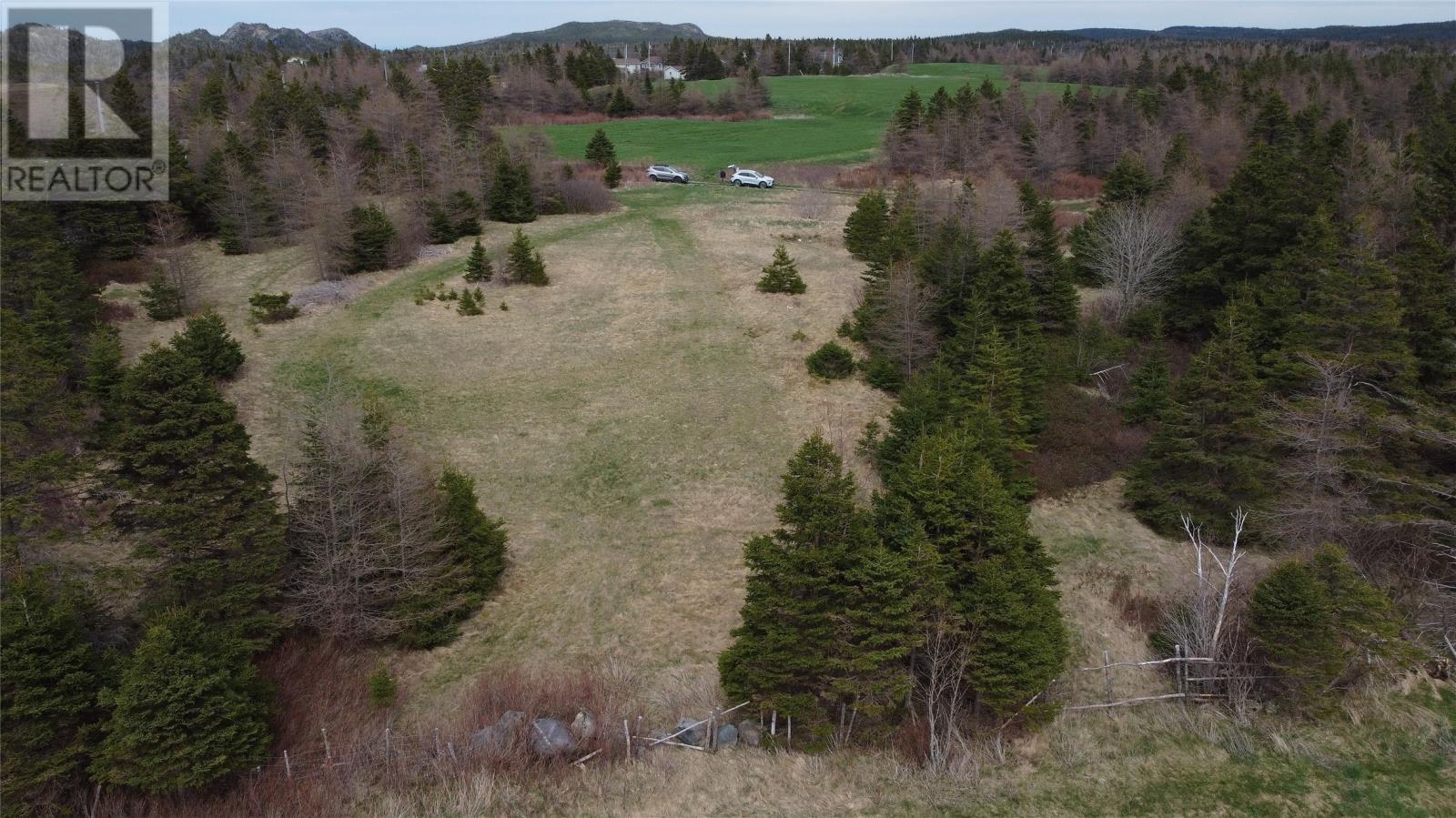 0 Beaver Pond Road Road, Roaches Line, Newfoundland & Labrador  A0A 1W0 - Photo 23 - 1289187