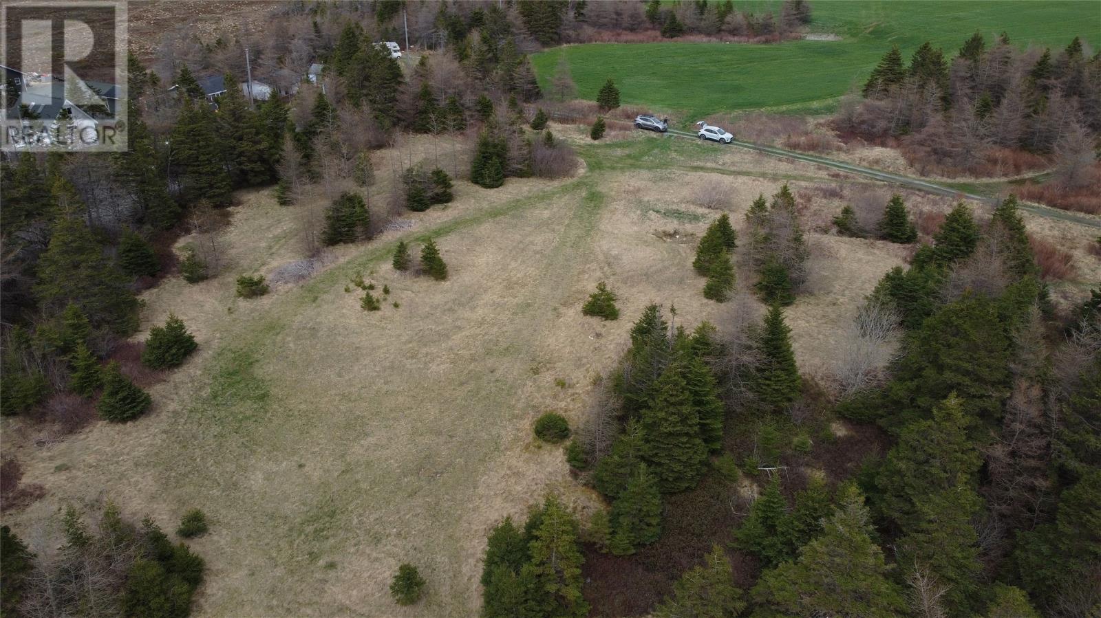 0 Beaver Pond Road Road, Roaches Line, Newfoundland & Labrador  A0A 1W0 - Photo 33 - 1289187