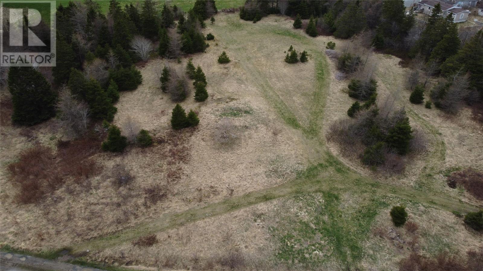 0 Beaver Pond Road Road, Roaches Line, Newfoundland & Labrador  A0A 1W0 - Photo 34 - 1289187