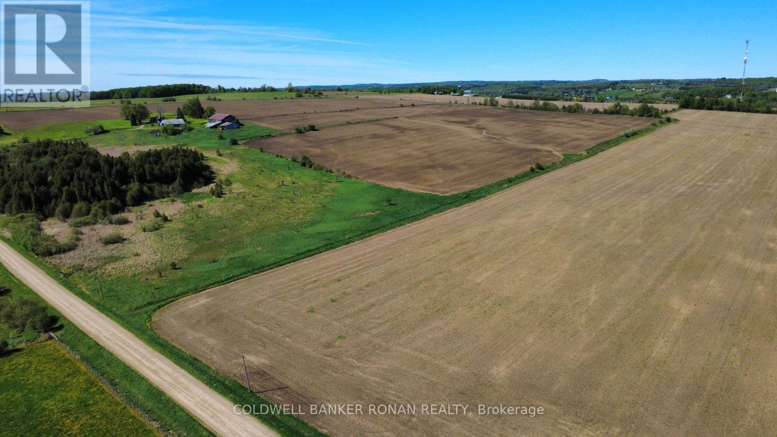 955702 Highway 89, Mono, Ontario  L0N 1R0 - Photo 10 - X13214764