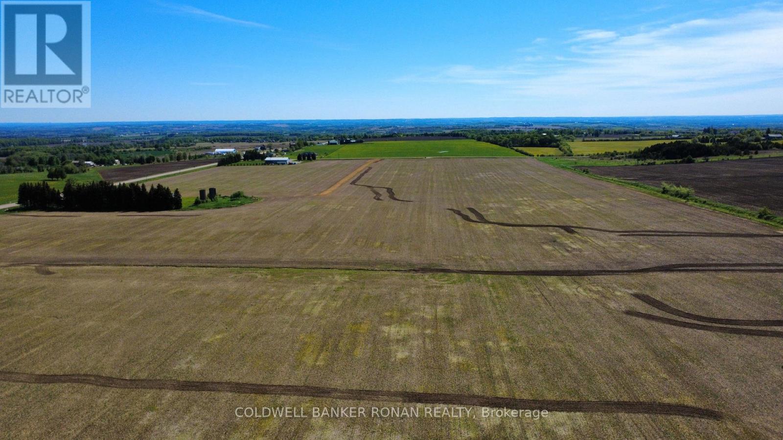 955702 Highway 89, Mono, Ontario  L0N 1R0 - Photo 22 - X13214764