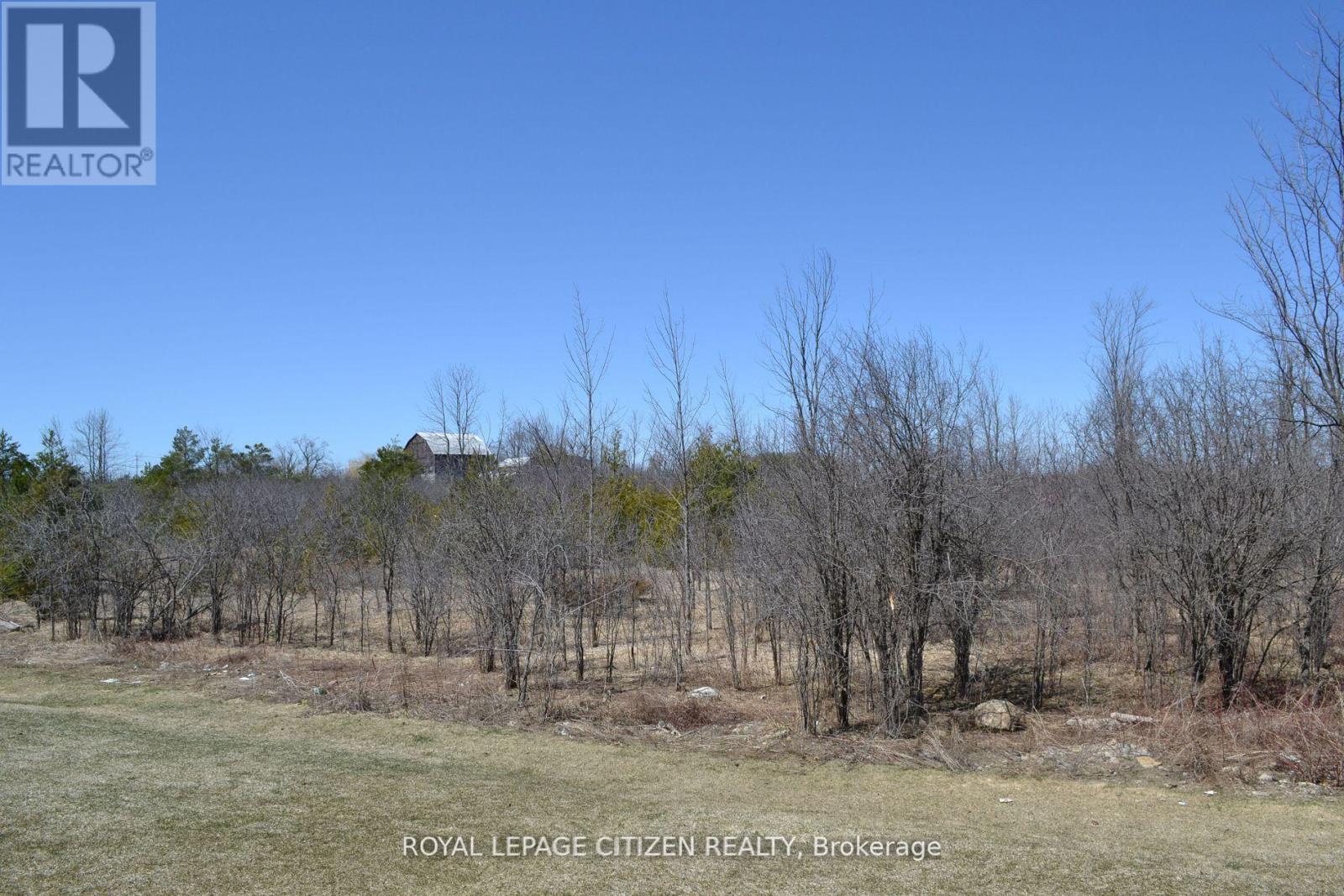 41 Carew Boulevard, Kawartha Lakes, Ontario  K9V 0P7 - Photo 20 - X13214844