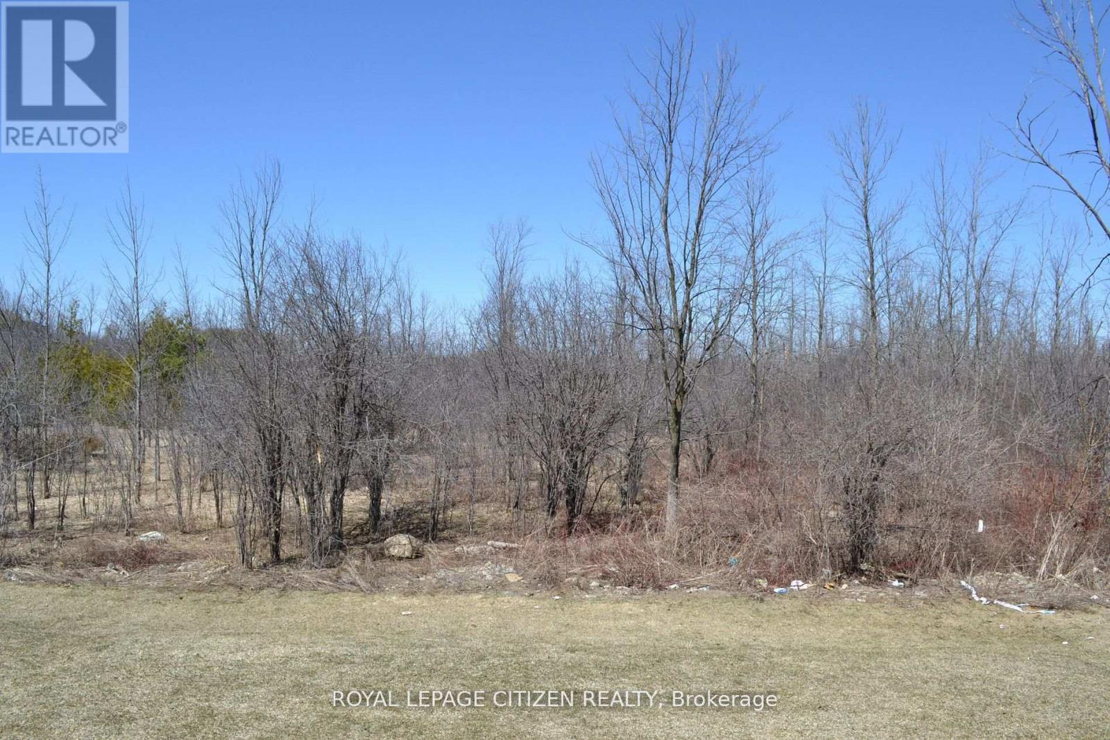 41 Carew Boulevard, Kawartha Lakes, Ontario  K9V 0P7 - Photo 21 - X13214844