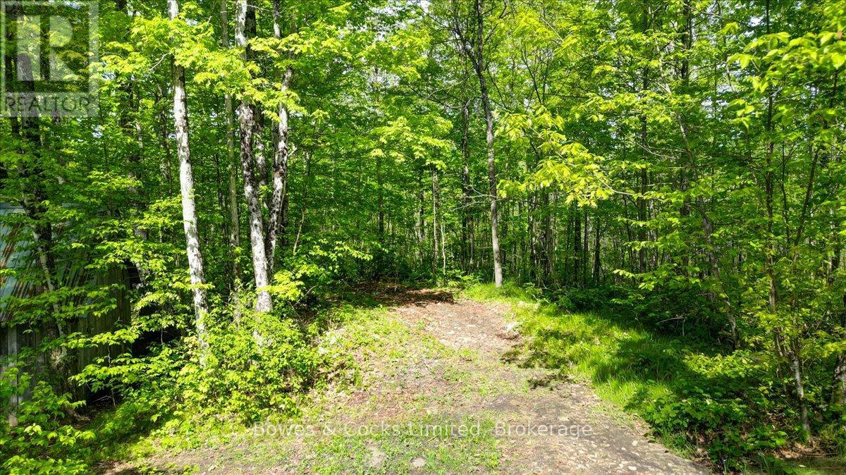 3463 County Road 44, Havelock-Belmont-Methuen, Ontario  K0L 1Z0 - Photo 37 - X13215344