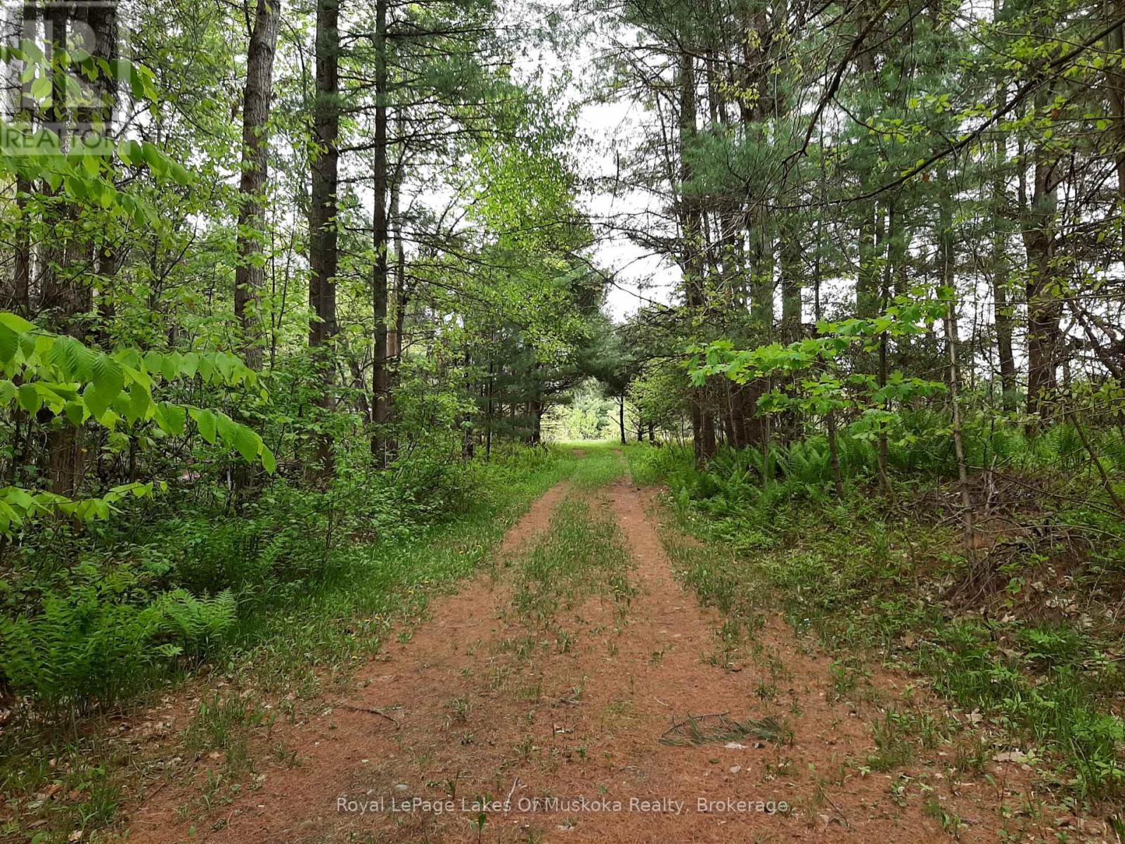 216 Beaumont Road, Bracebridge, Ontario  P1L 1X2 - Photo 47 - X13214154