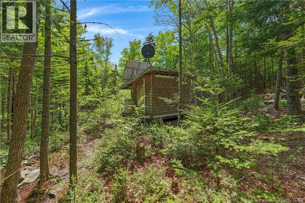 345 Ketchum Road, Norton, New Brunswick  E5N 7X6 - Photo 16 - NB140267