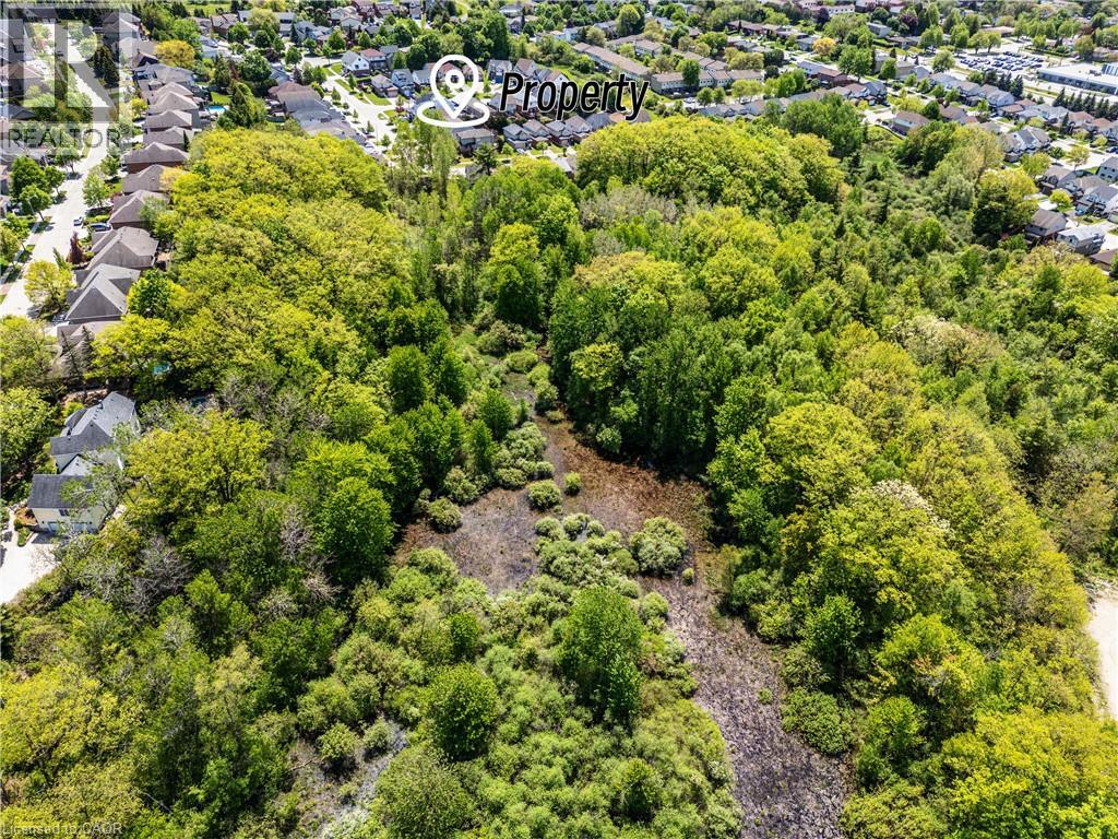 423 Veronica Drive, Kitchener, Ontario  N2A 4E9 - Photo 3 - 40830508