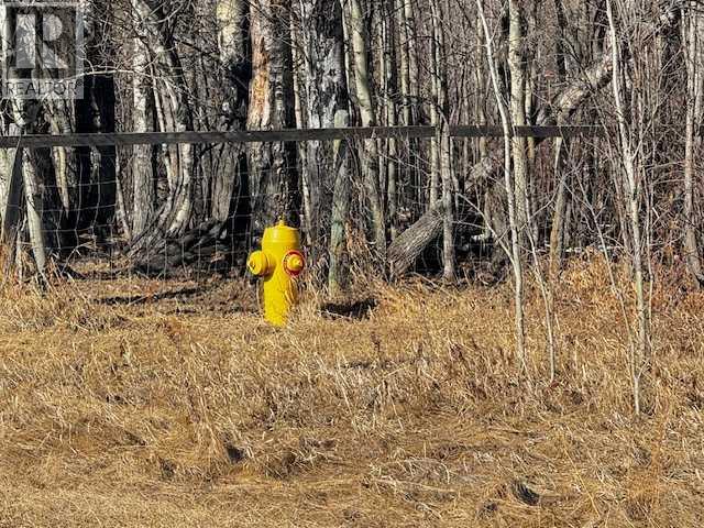 2431 Mistassiniy Road, Wabasca, Alberta  T0G 2K0 - Photo 5 - A2204965