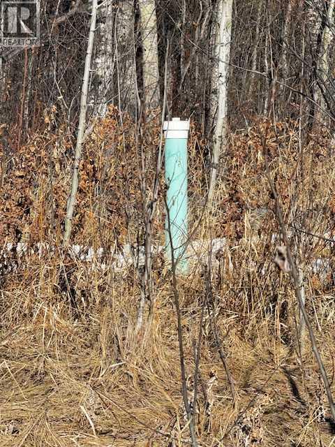 2431 Mistassiniy Road, Wabasca, Alberta  T0G 2K0 - Photo 8 - A2204965