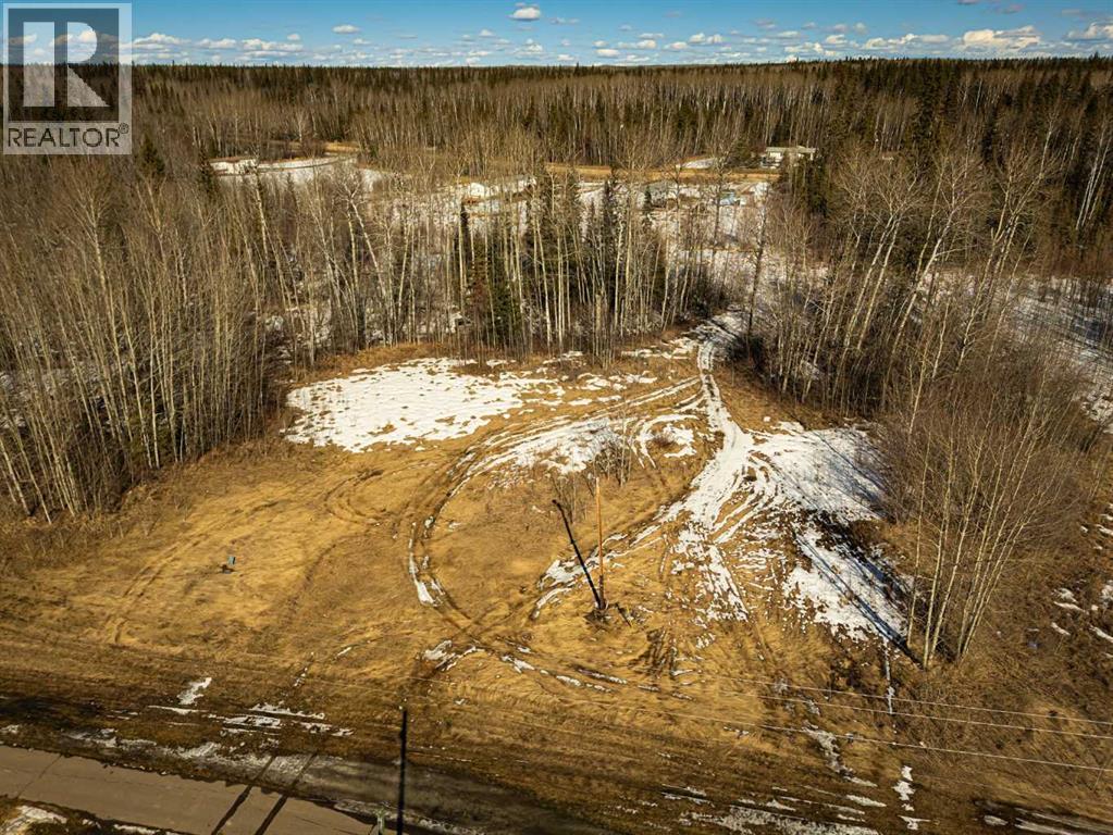 2431 Mistassiniy Road, Wabasca, Alberta  T0G 2K0 - Photo 12 - A2204965
