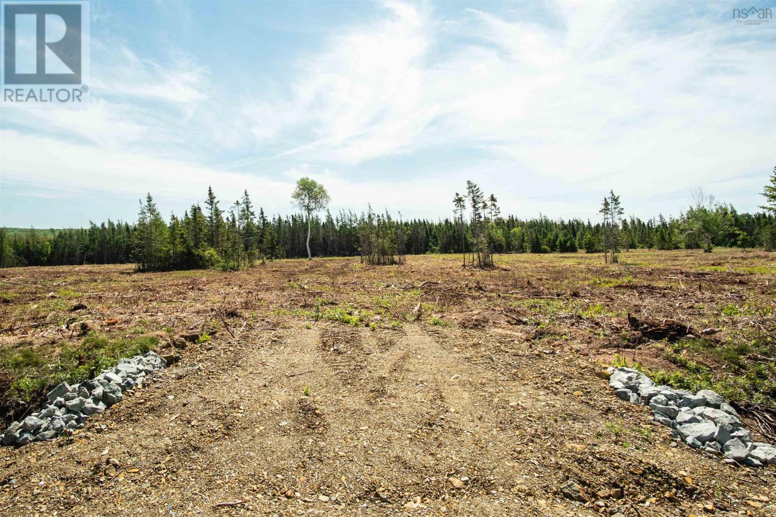 Lot 5 Alpine Ridge Road, Mabou, Nova Scotia  B0E 1X0 - Photo 8 - 202506917