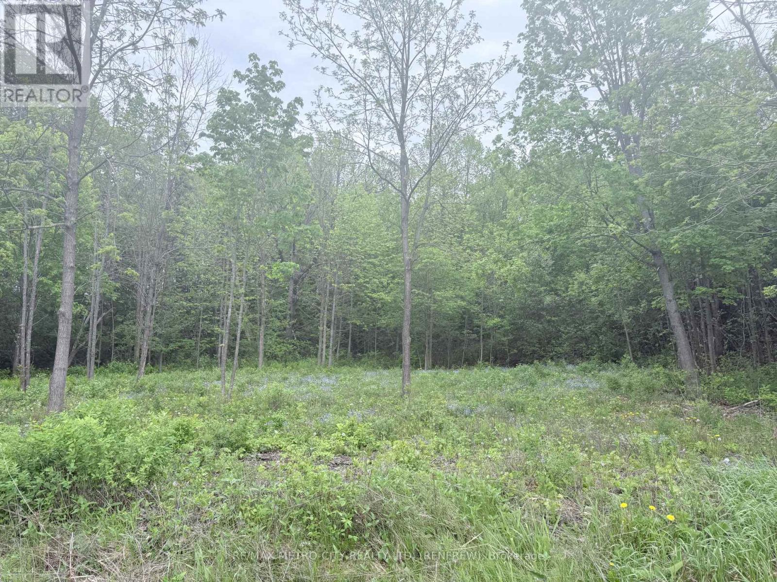 LOT 1 MUTUAL AVENUE, Renfrew, Ontario