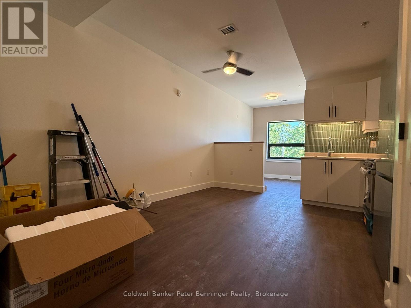 202 - 604 Queen Street S, Arran-Elderslie, Ontario  N0G 2N0 - Photo 3 - X13215648