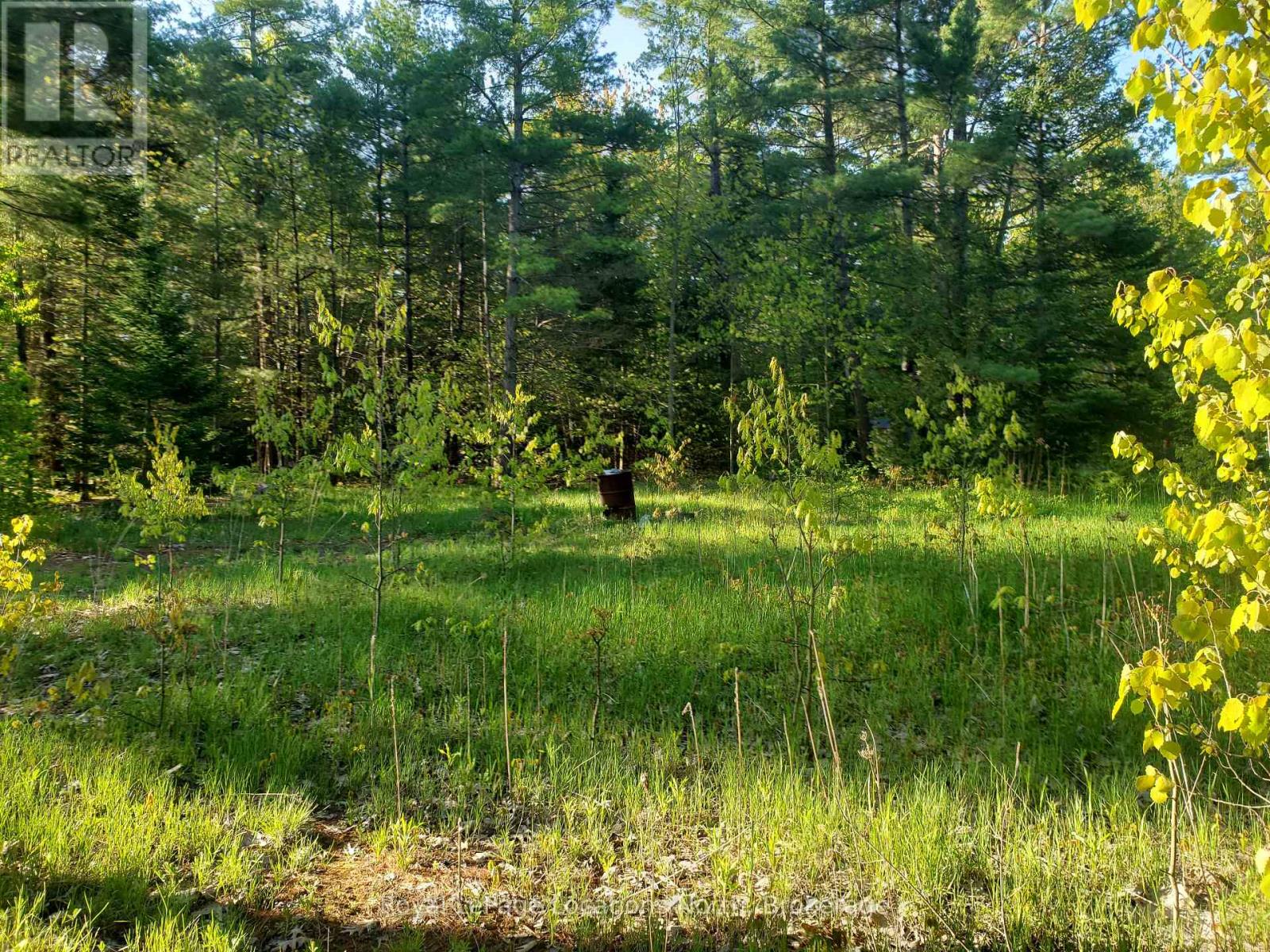 23 Stoney Road, Tiny, Ontario  L9M 0H2 - Photo 3 - S12949100