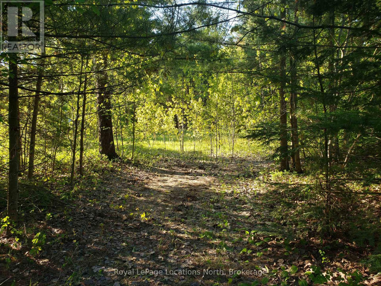23 Stoney Road, Tiny, Ontario  L9M 0H2 - Photo 2 - S12949100