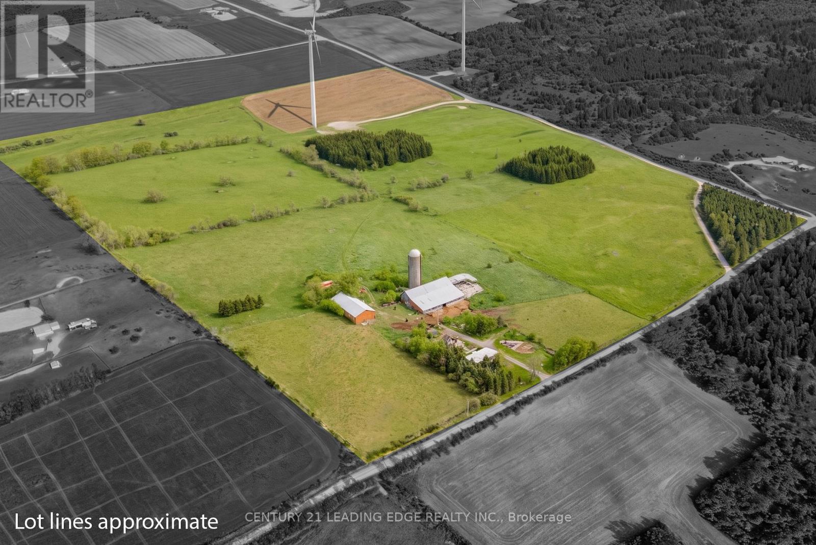 801 Ballyduff Road, Kawartha Lakes, Ontario  L0A 1K0 - Photo 3 - X13215570