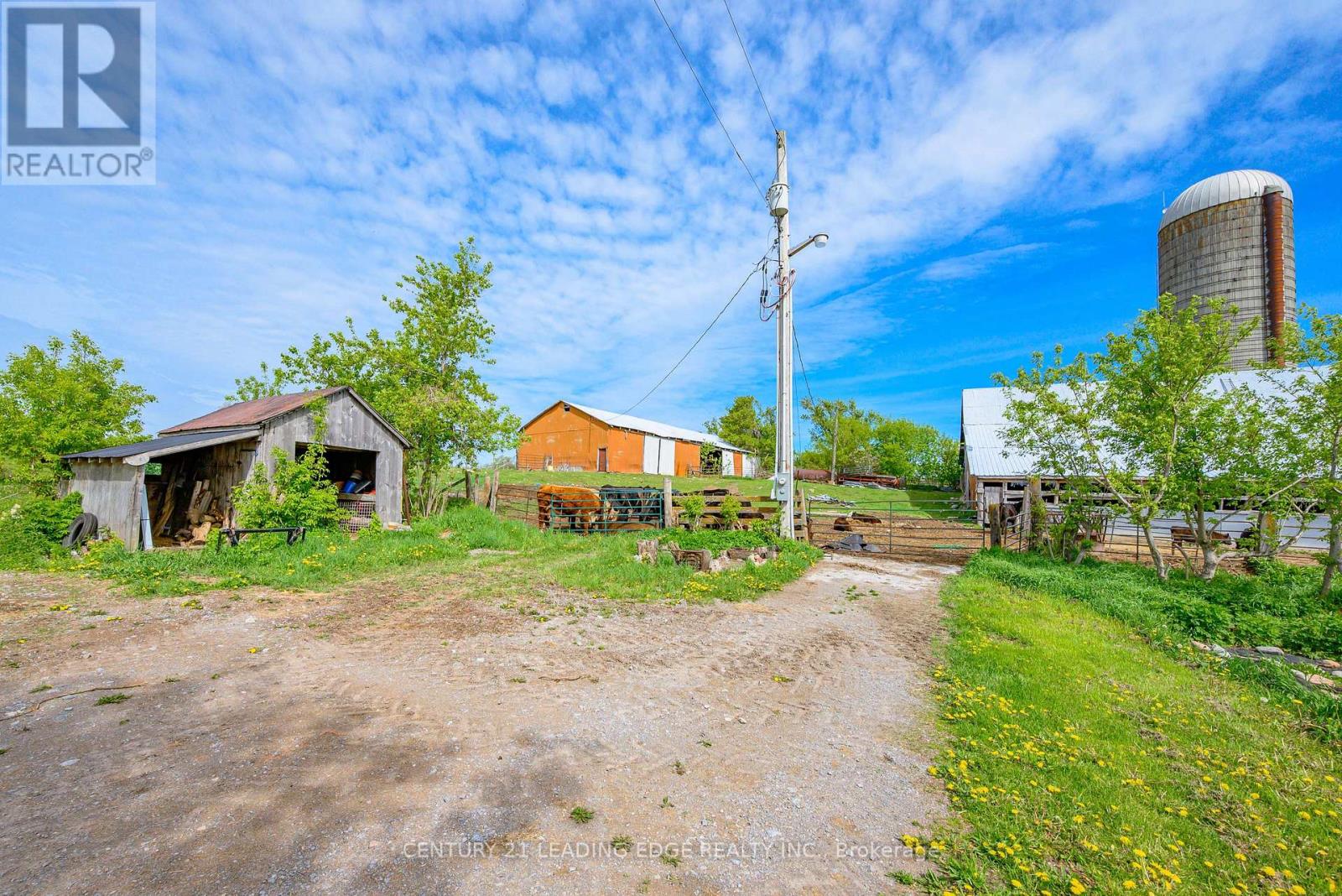 801 Ballyduff Road, Kawartha Lakes, Ontario  L0A 1K0 - Photo 39 - X13215570