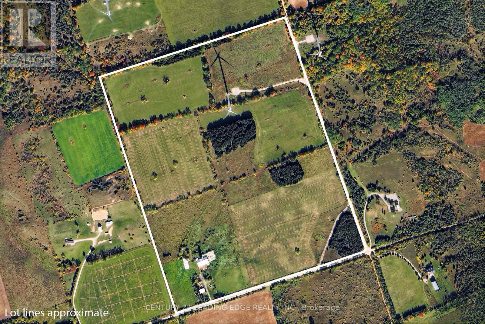 801 Ballyduff Road, Kawartha Lakes, Ontario  L0A 1K0 - Photo 4 - X13215570