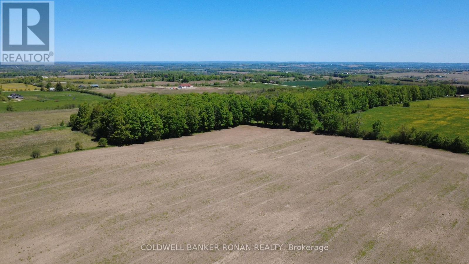 955529 Seventh Line, Mono, Ontario  K7S 3G7 - Photo 12 - X13215602