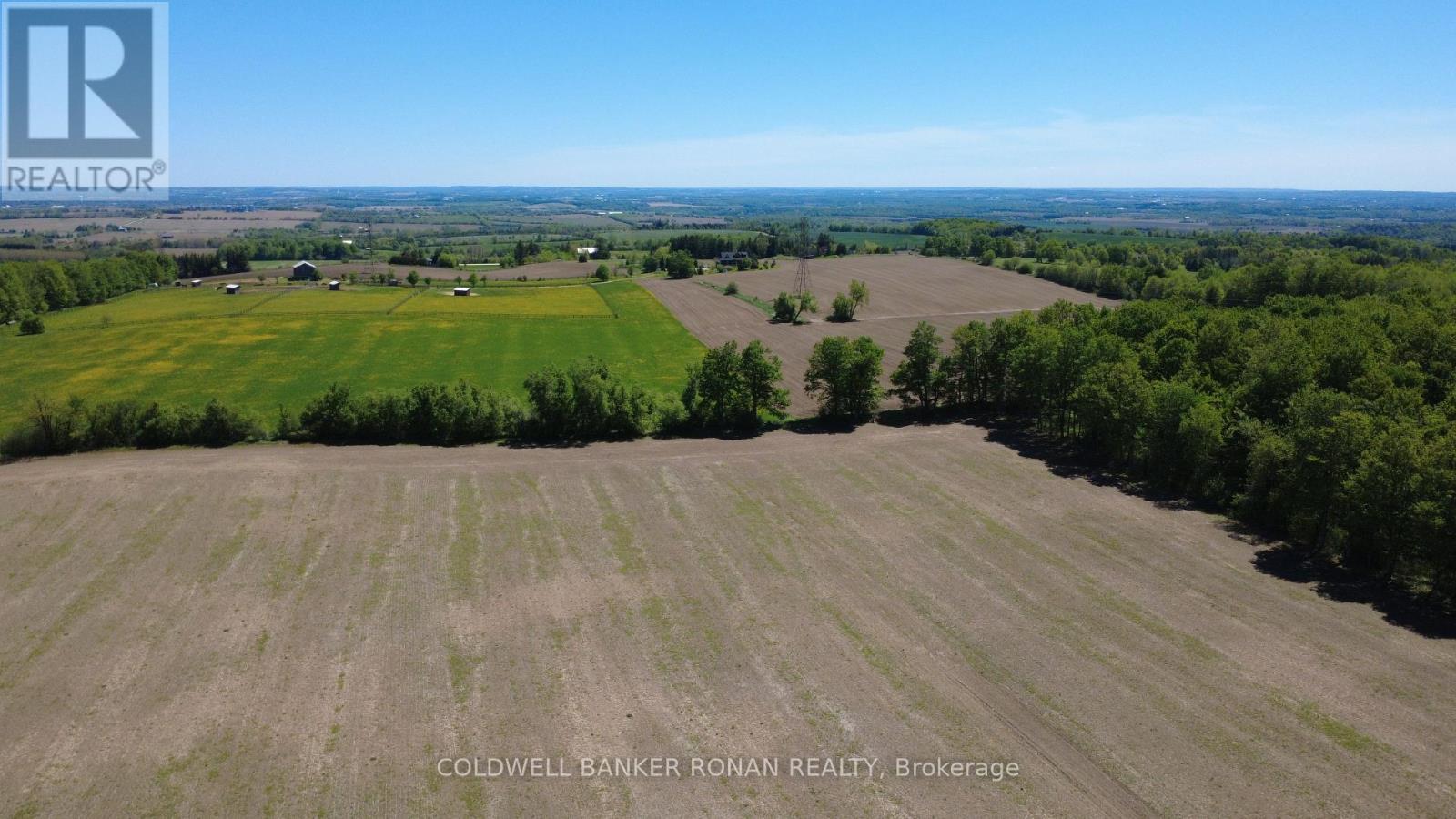 955529 Seventh Line, Mono, Ontario  K7S 3G7 - Photo 13 - X13215602
