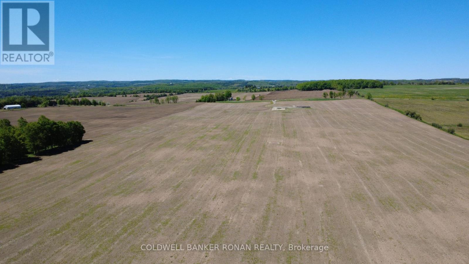 955529 Seventh Line, Mono, Ontario  K7S 3G7 - Photo 17 - X13215602