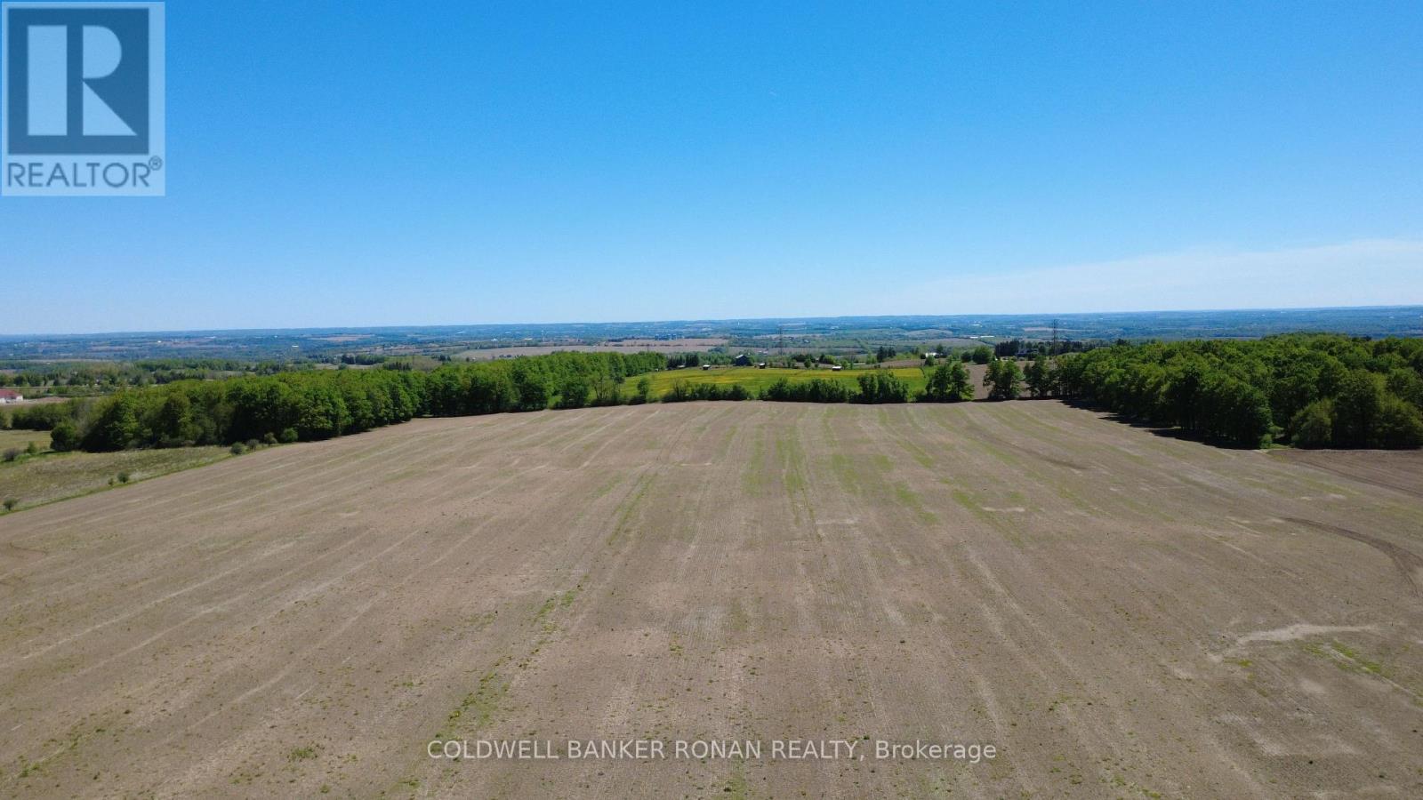 955529 Seventh Line, Mono, Ontario  K7S 3G7 - Photo 6 - X13215602