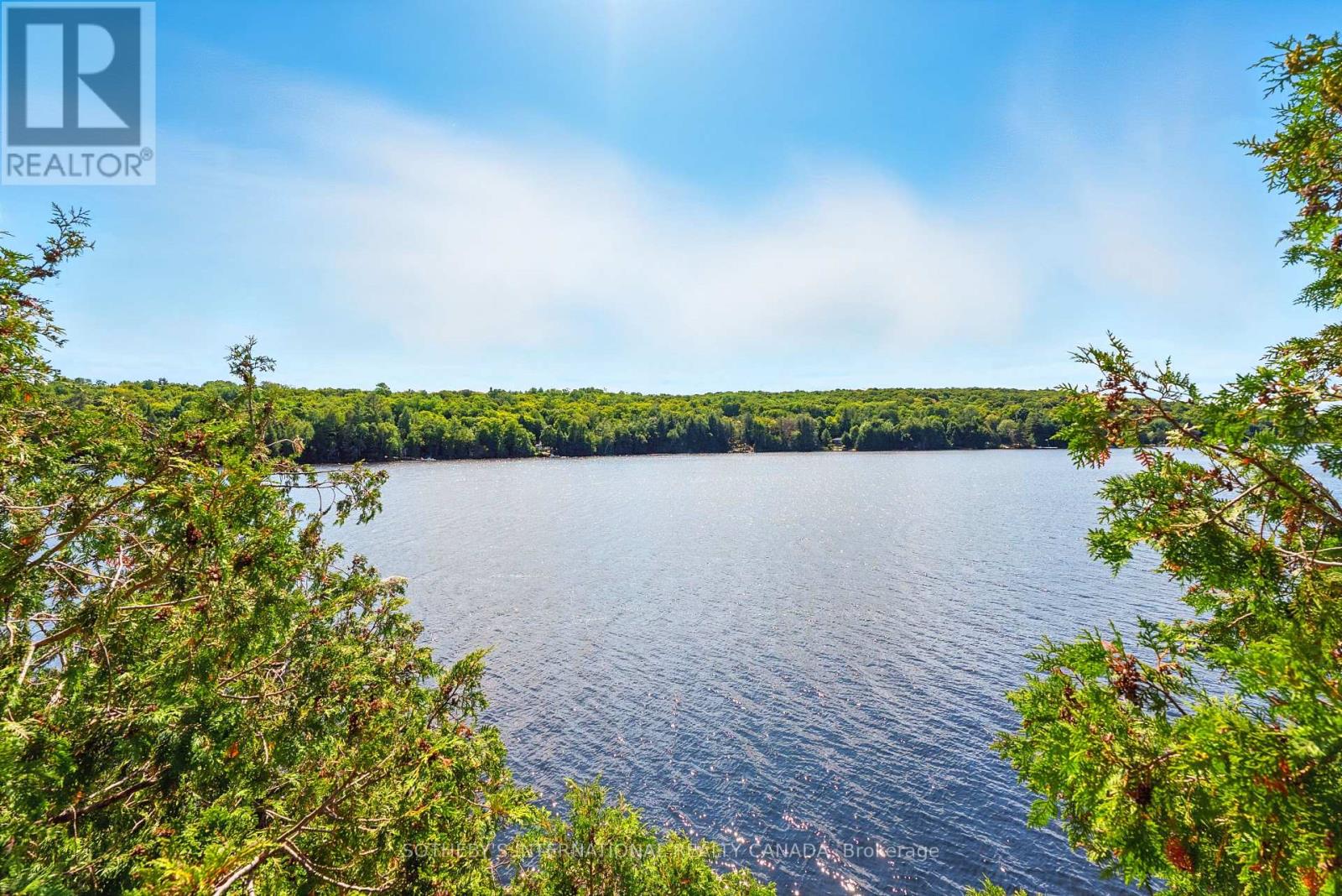 1023 Mccabe Road, Lake Of Bays, Ontario  P0B 1A0 - Photo 6 - X13215632