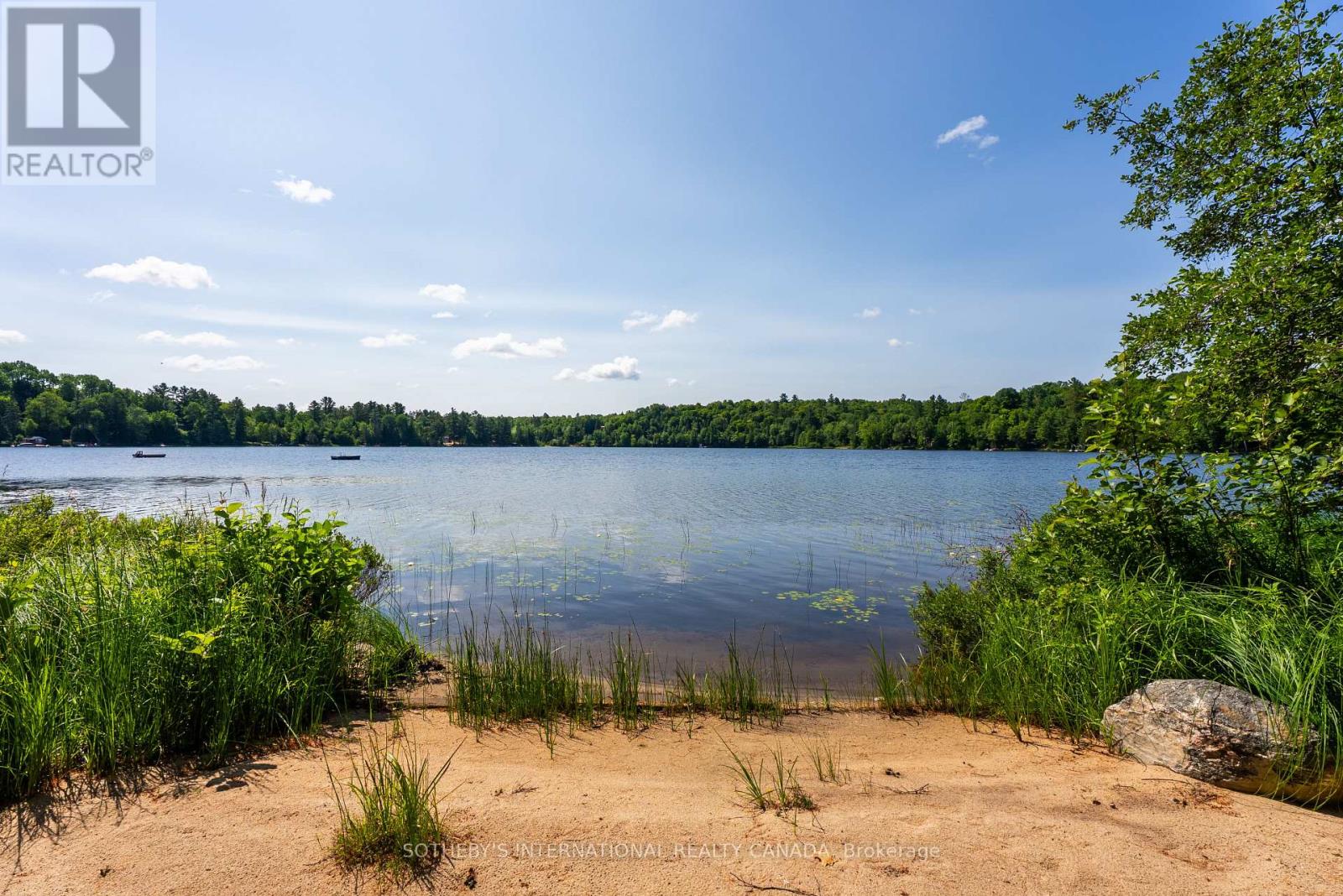 1023 Mccabe Road, Lake Of Bays, Ontario  P0B 1A0 - Photo 9 - X13215632