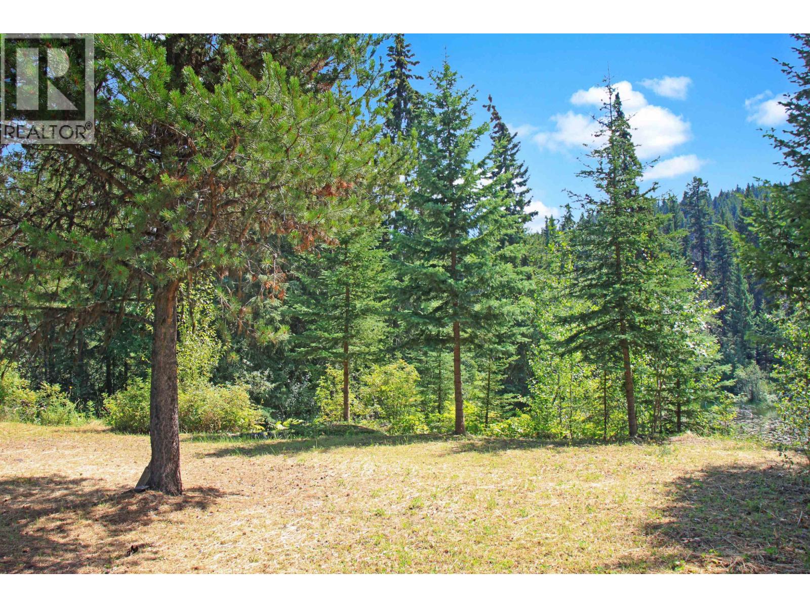 Lot 10 N Bridge Lake Road, Bridge Lake, British Columbia  V0K 1X2 - Photo 38 - R3095694