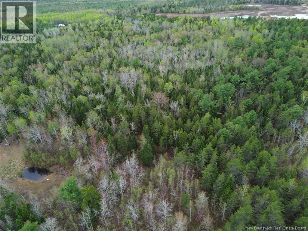 25-1 Route 134, Saint-Louis-De-Kent, New Brunswick  E4X 2L2 - Photo 18 - NB140640