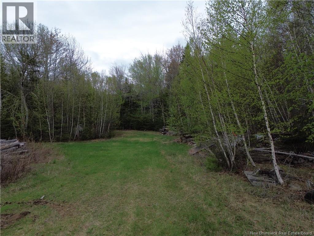 25-1 Route 134, Saint-Louis-De-Kent, New Brunswick  E4X 2L2 - Photo 13 - NB140640