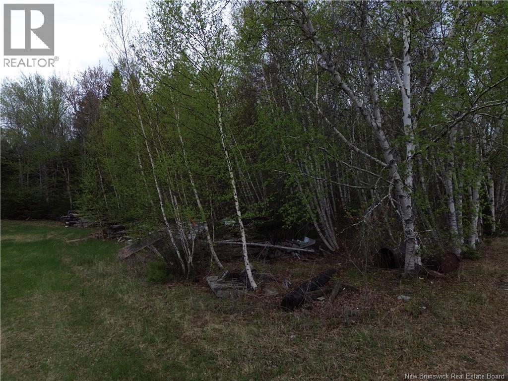 25-2 Route 134, Saint-Louis-De-Kent, New Brunswick  E4X 2L2 - Photo 17 - NB140643