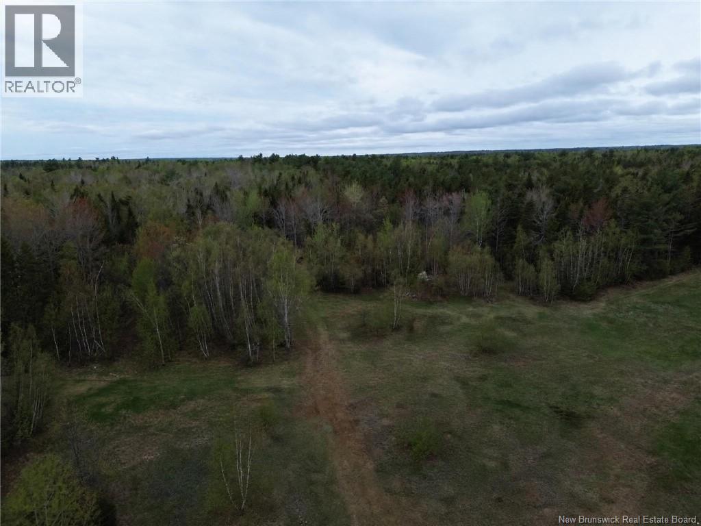25-2 Route 134, Saint-Louis-De-Kent, New Brunswick  E4X 2L2 - Photo 21 - NB140643