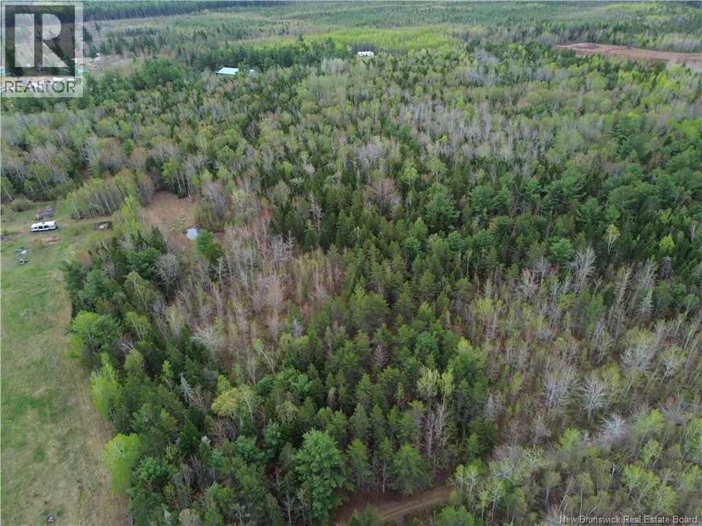 25-2 Route 134, Saint-Louis-De-Kent, New Brunswick  E4X 2L2 - Photo 19 - NB140643