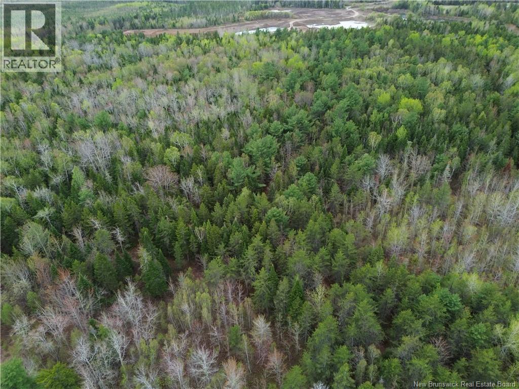 25-7 Route 134, Saint-Louis-De-Kent, New Brunswick  E4X 2L2 - Photo 24 - NB140645