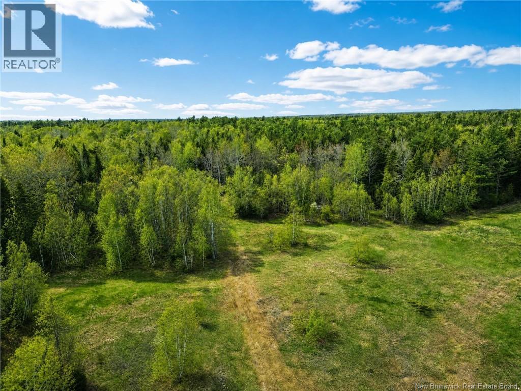 25-8 Route 134, Saint-Louis-De-Kent, New Brunswick  E4X 2L2 - Photo 15 - NB140646