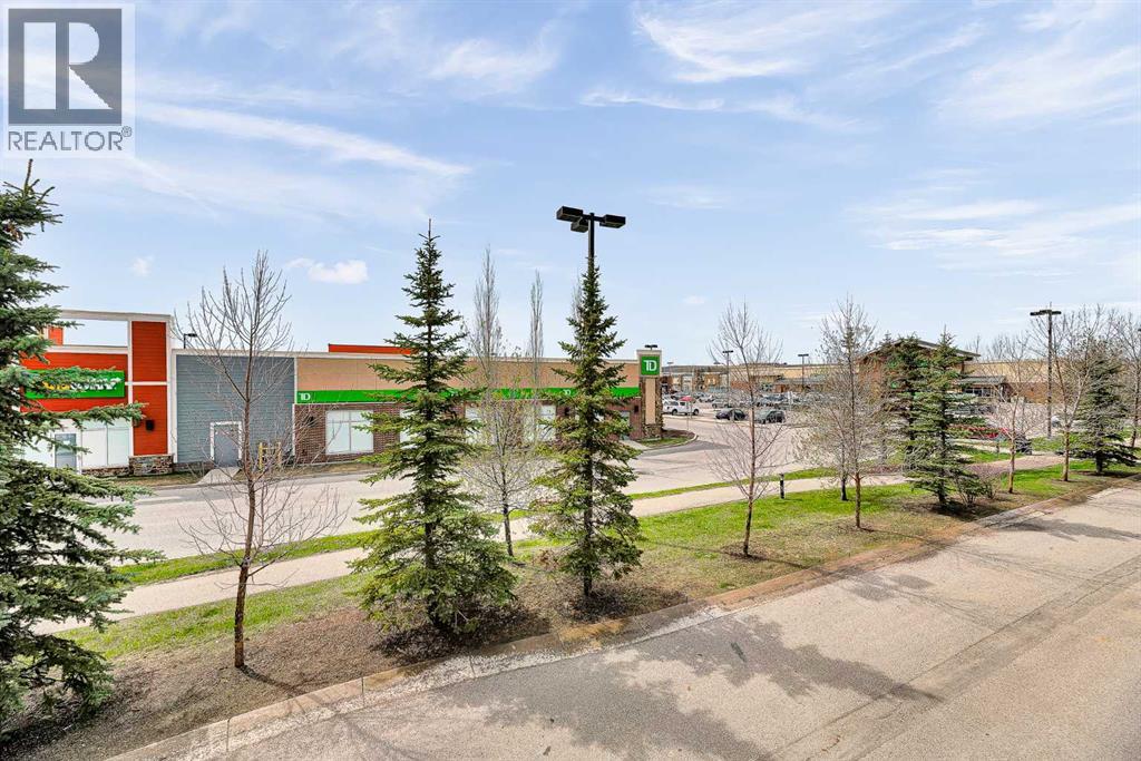 359 Silverado Common Sw, Calgary, Alberta  T2X 0S4 - Photo 38 - A2308161