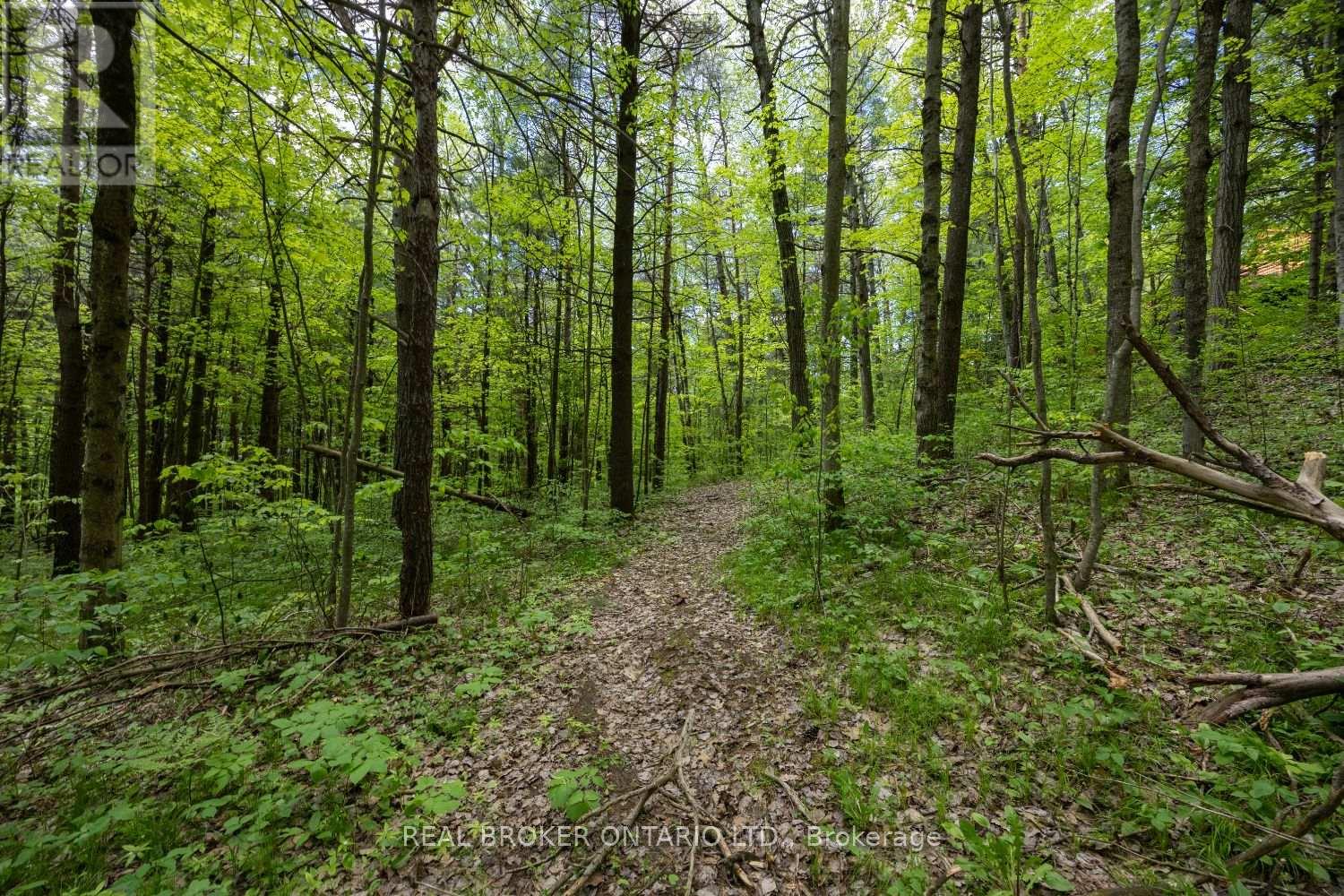 5 Sumac Road, Clarington, Ontario  L0B 1B0 - Photo 45 - E13004704