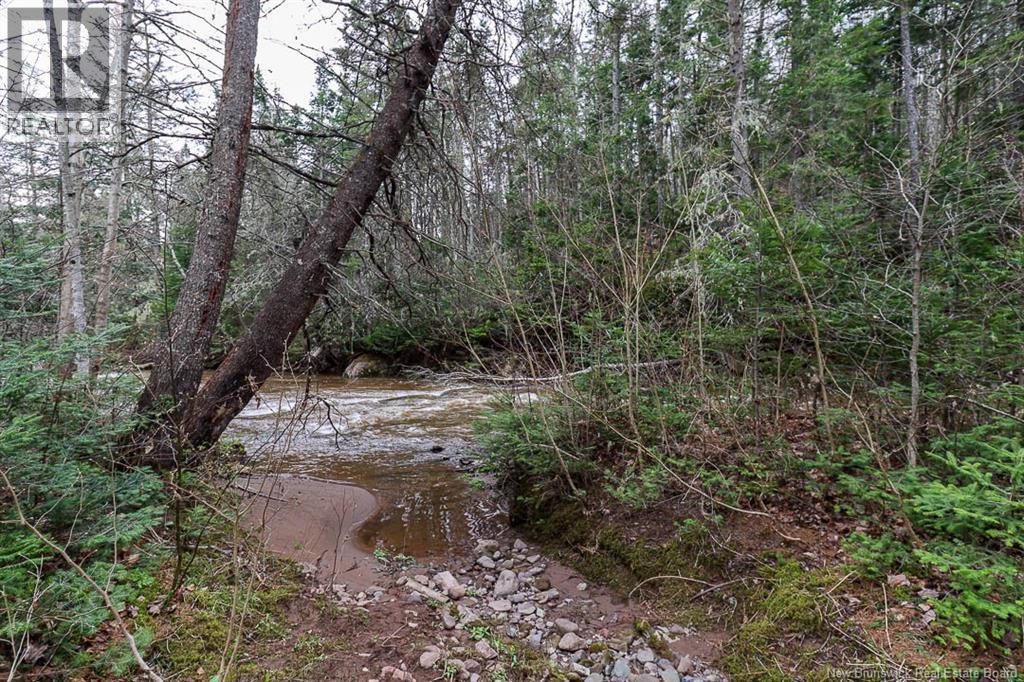 475 Route 124, Norton, New Brunswick  E5T 1R3 - Photo 35 - NB138835