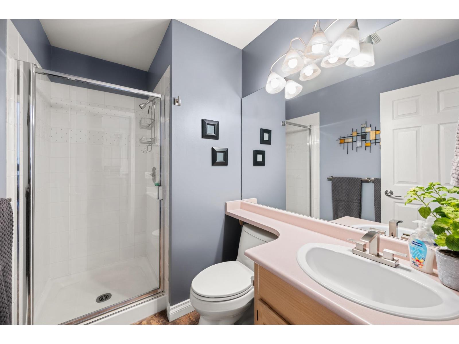 43 9012 Walnut Grove Drive, Langley, British Columbia  V1M 2K3 - Photo 12 - R3129267