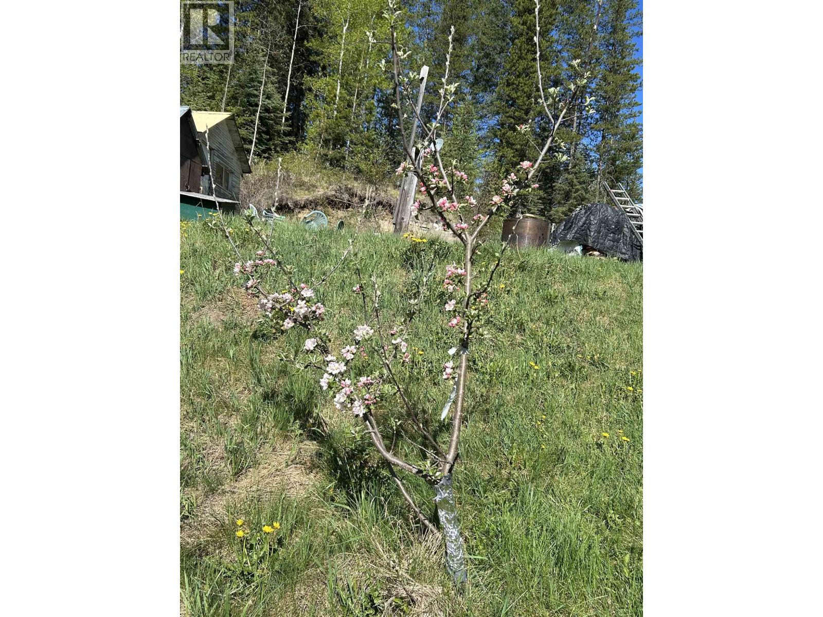 5676 Lowden Road, Horsefly, British Columbia  V1J 3A1 - Photo 2 - R3114888