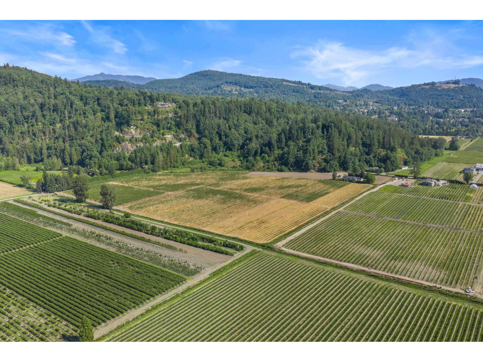 35011 Townshipline Road, Abbotsford, British Columbia  V3G 1R5 - Photo 3 - R3129084
