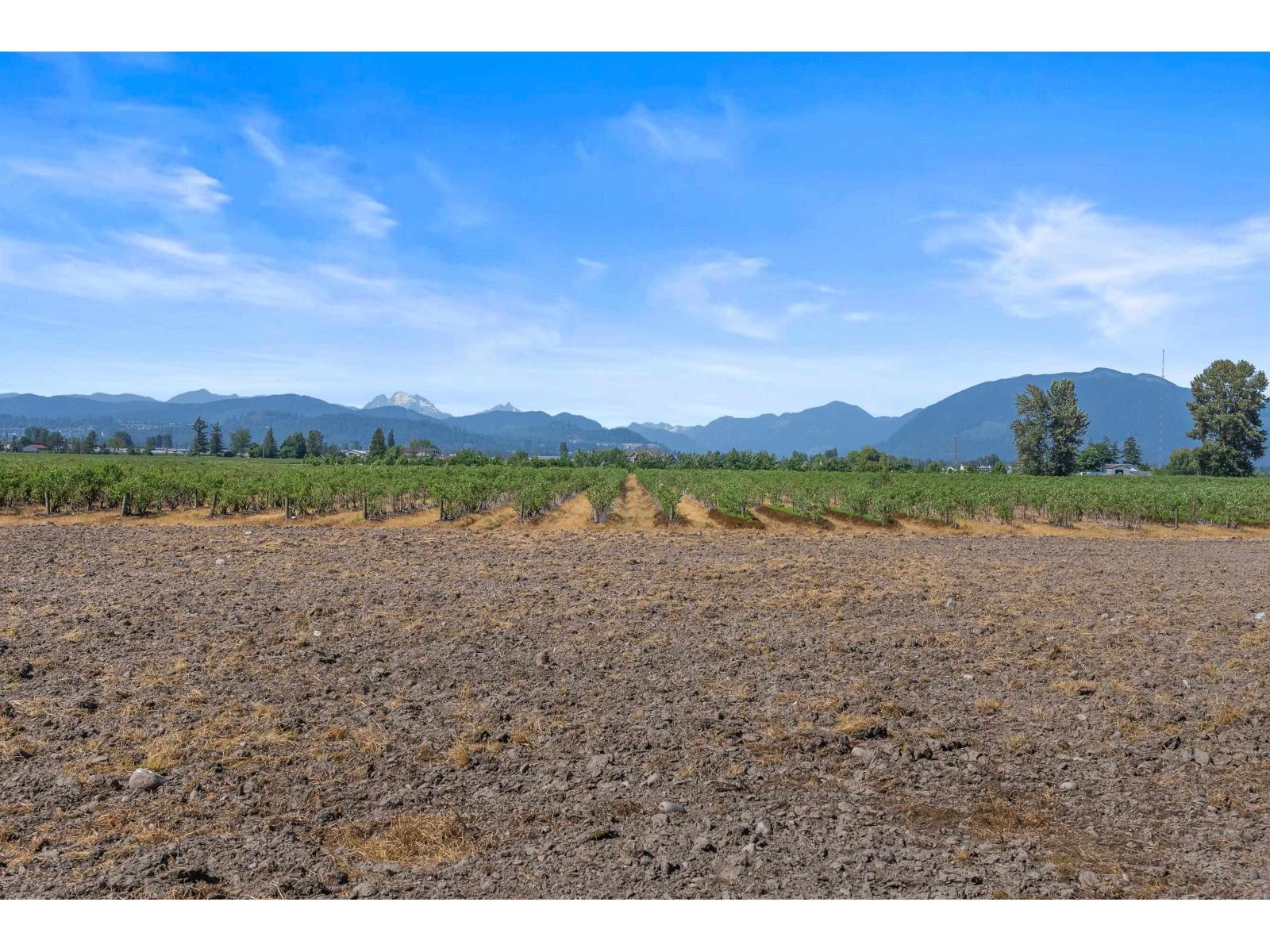 35011 Townshipline Road, Abbotsford, British Columbia  V3G 1R5 - Photo 9 - R3129084
