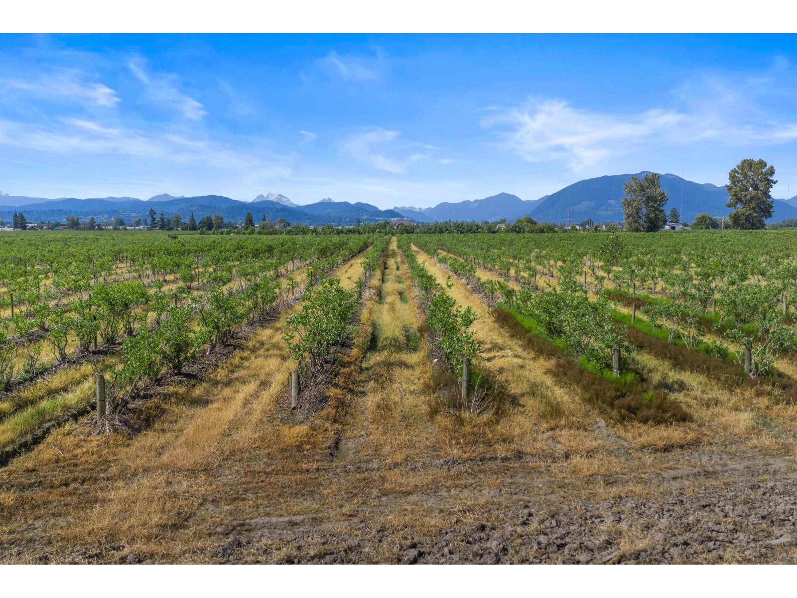 35011 Townshipline Road, Abbotsford, British Columbia  V3G 1R5 - Photo 37 - R3129084
