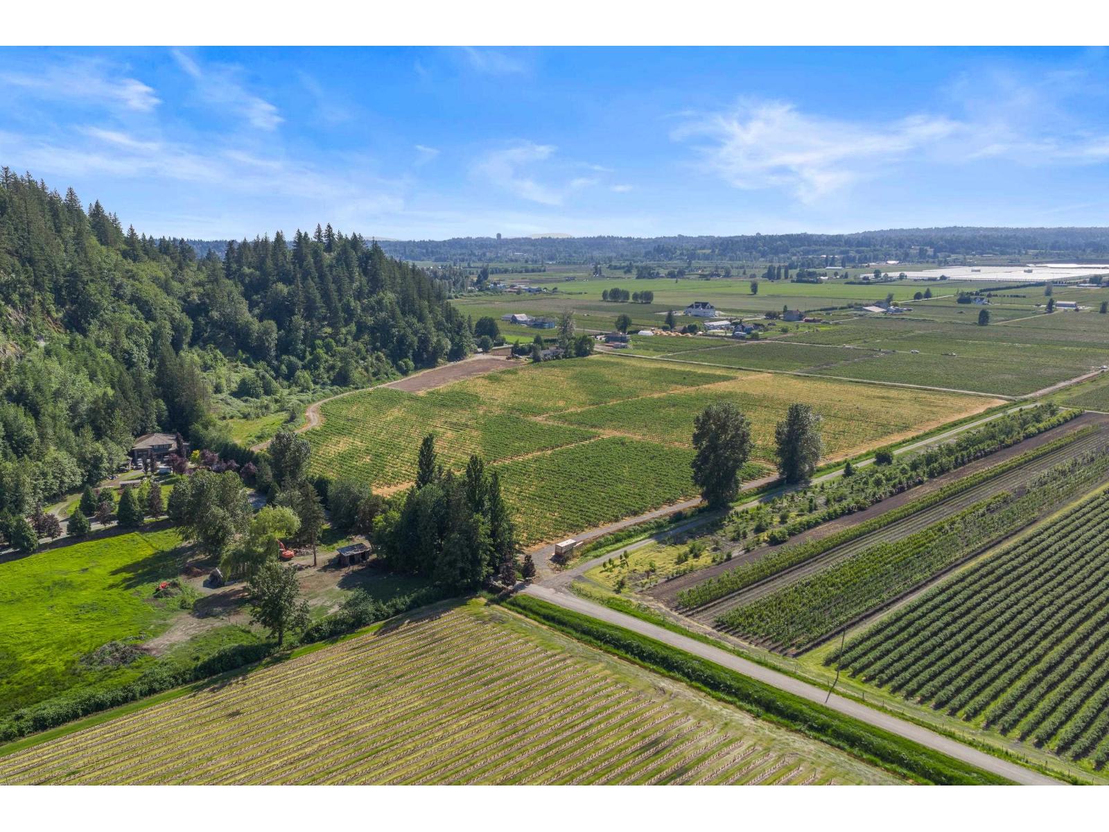 35011 Townshipline Road, Abbotsford, British Columbia  V3G 1R5 - Photo 40 - R3129084