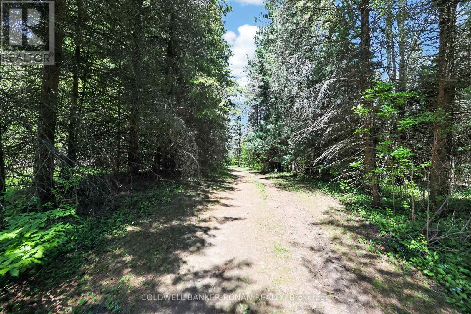 5565 5th Line, New Tecumseth, Ontario  L0G 1W0 - Photo 45 - N13216054