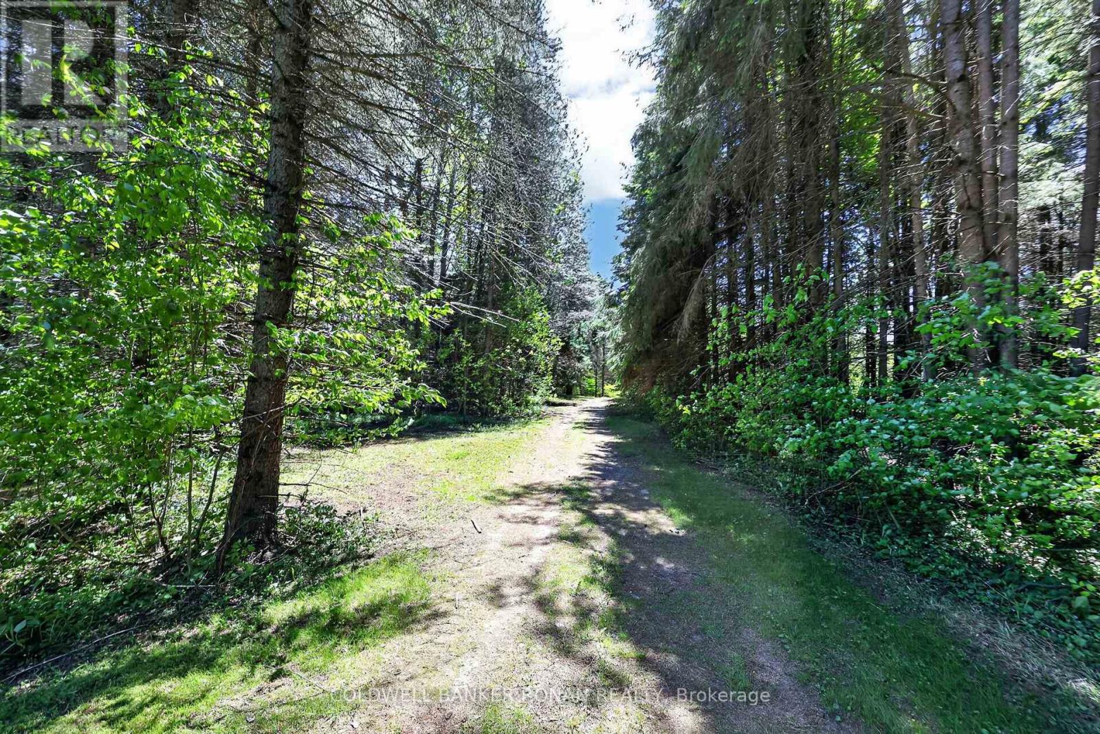 5565 5th Line, New Tecumseth, Ontario  L0G 1W0 - Photo 46 - N13216054