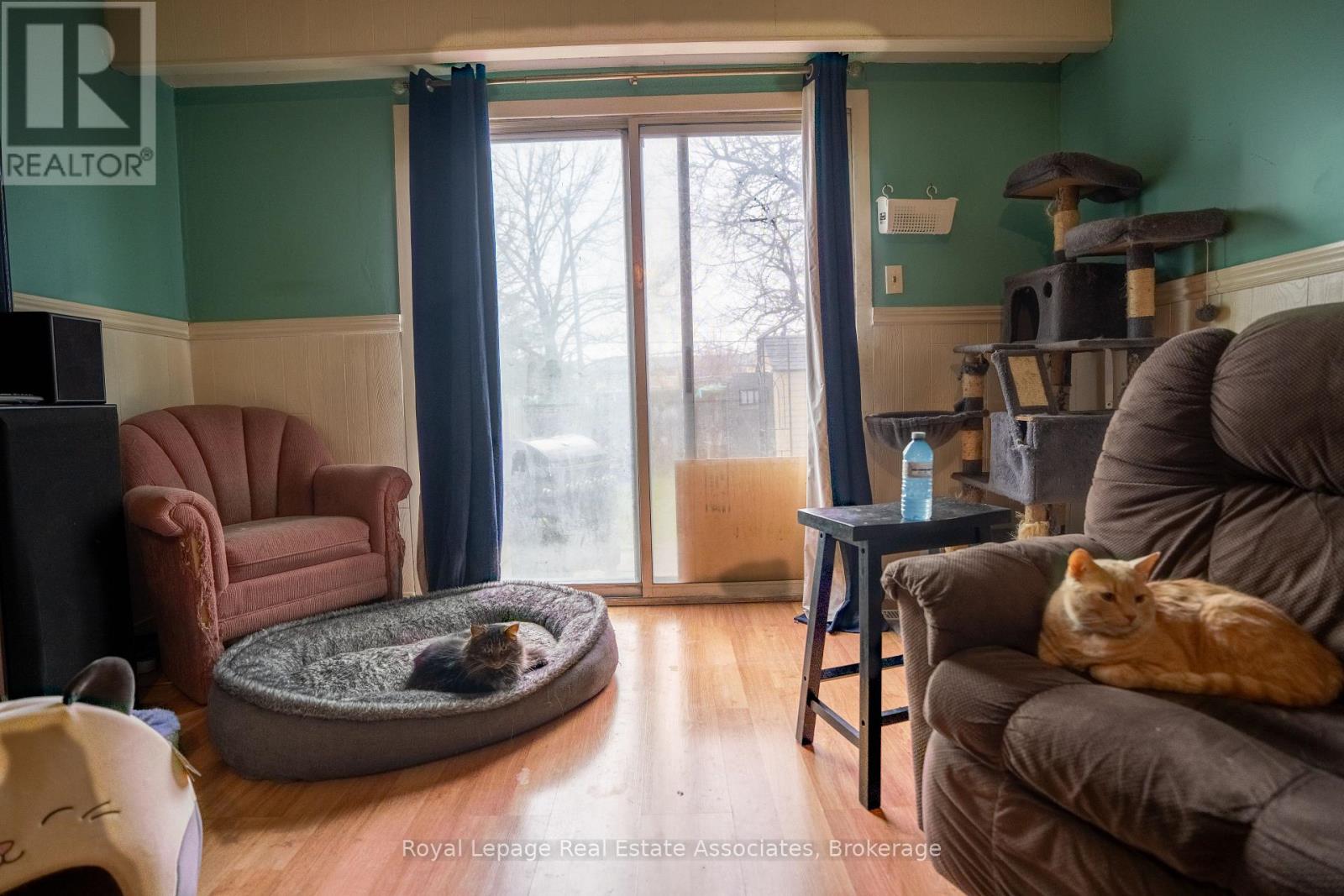 337 Hansen Road N, Brampton, Ontario  L6V 2Y2 - Photo 43 - W13216074
