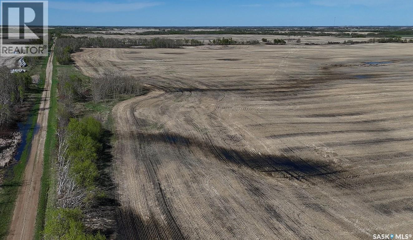 1 Quarter Grainland Near Willowbrook (Oshanek), Orkney Rm No. 244, Saskatchewan  S0A 2P0 - Photo 5 - SK037469