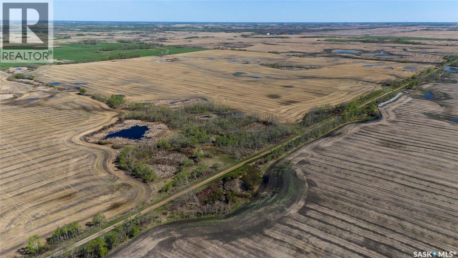 1 Quarter Grainland Near Willowbrook (Oshanek), Orkney Rm No. 244, Saskatchewan  S0A 2P0 - Photo 1 - SK037469
